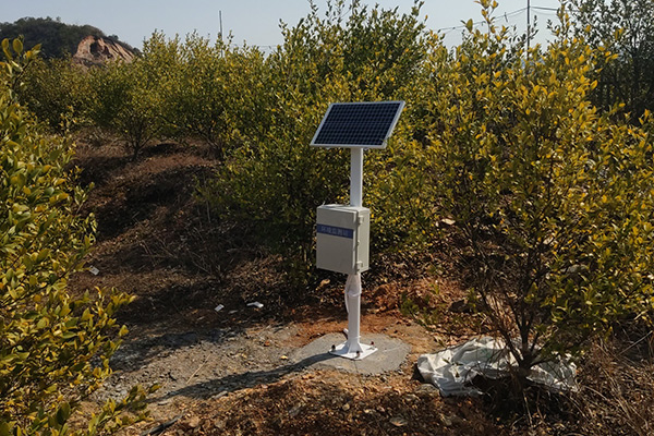 浙江衢州常山油茶大腦產業園土壤墑情監測站安裝案例實拍
